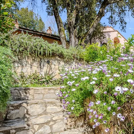 Casa Il Leccio - Pool & Forest Hideaway In Tuscany * Sassetta